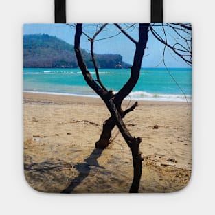 Vertical view through two curved pine tree trunks to a sand beach Tote