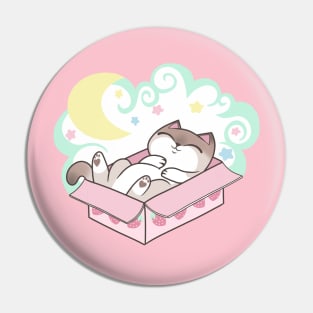 Sleepy Cat in Cardboard Box Cute Pastel Kawaii Pin