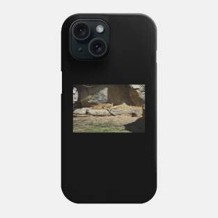 Lioness Phone Case