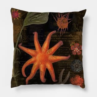 Vintage Sealife Pillow