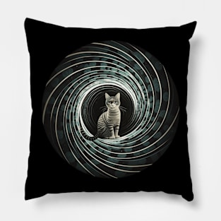 Cat Sitting in A Spiral Pillow