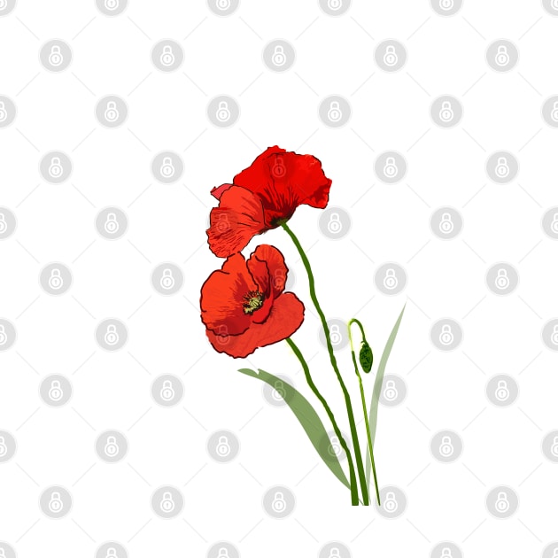 Red poppy flower by Slownessi