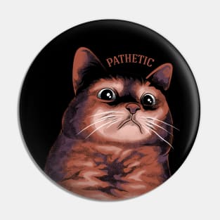 pathetic cat meme Pin