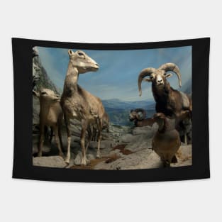 Natural environment diorama - steinbocks Tapestry