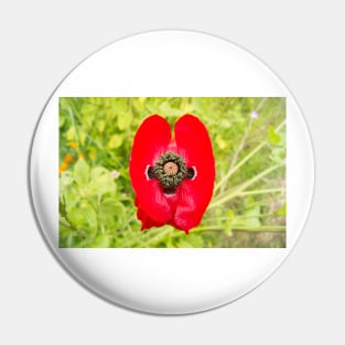 blb red poppy Pin