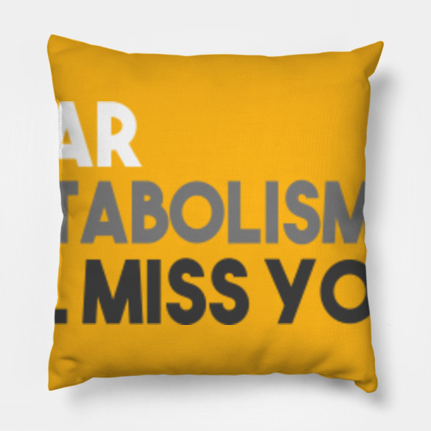 Dear Metabolism I Ll Miss You Funnytee Pillow Teepublic Au
