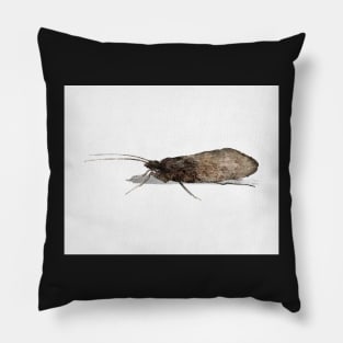 Caddis Pillow