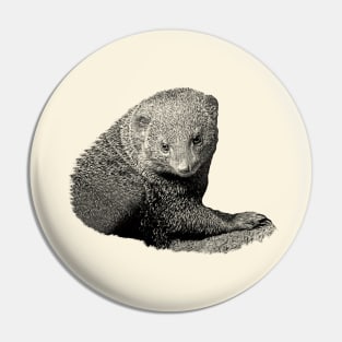 Mongoose Pin