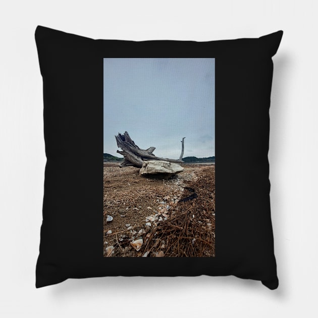 Untitled Beach Subject Pillow by LaurenPatrick