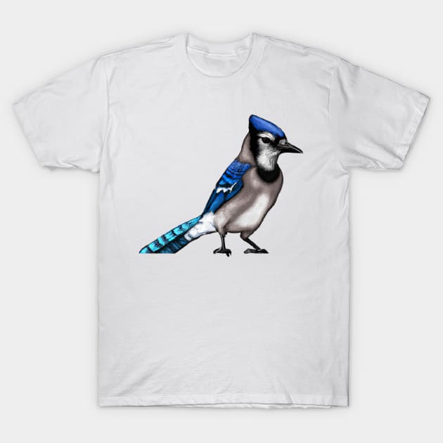 Blue Jay Shirt 