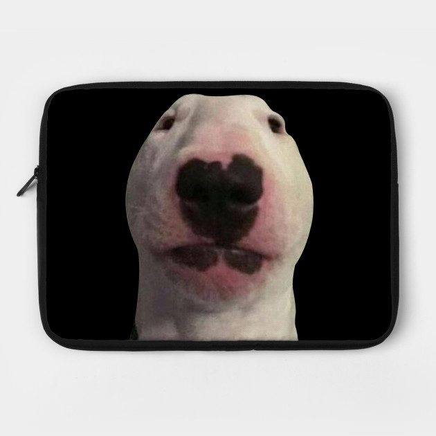 Staring Forward Dog Meme Meme Laptop Case Teepublic