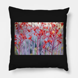 Red Kangaroo Paw Pillow