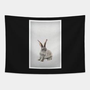 Rabbit 26 Tapestry