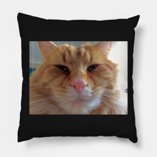 OllieBear Ginger Kitty Cat Pillow