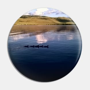 Family of Ducks on a Lake Pin