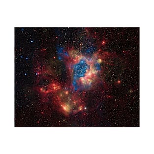 Star Cluster NGC 1929 T-Shirt