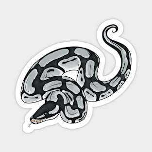 Axanthic Ball Python Magnet