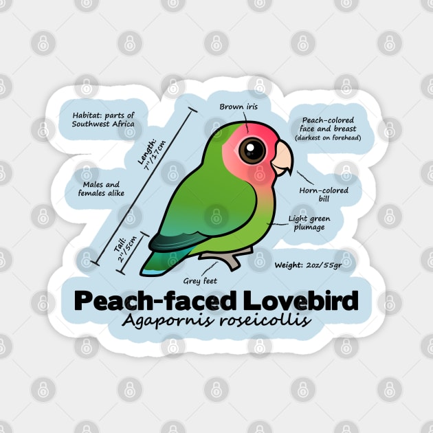 Lovebird Stats Magnet by birdorable