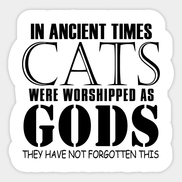 In Ancient Times Cats Were Worshipped As Gods They Have Not