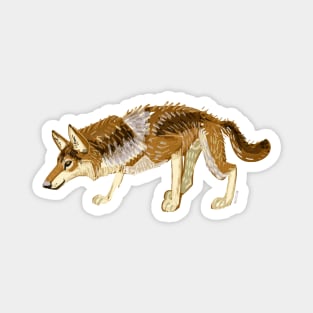 Steppe Wolf Canis lupus campestris Magnet