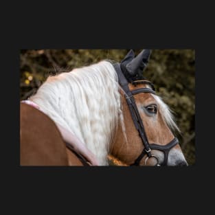 Haflinger with a dreamlike mane T-Shirt