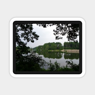 Lake View Photography Art, Beautiful Pine Trees, Nature Scenery Magnet