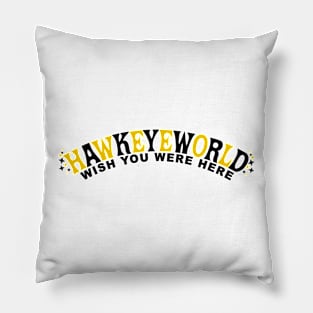 HAWKEYEWORLD Pillow