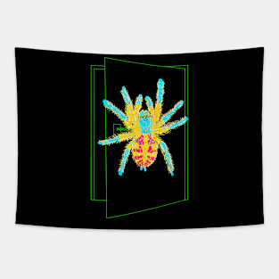 Brazilian Jewel Tarantula Typhochlaena seladonia Tapestry