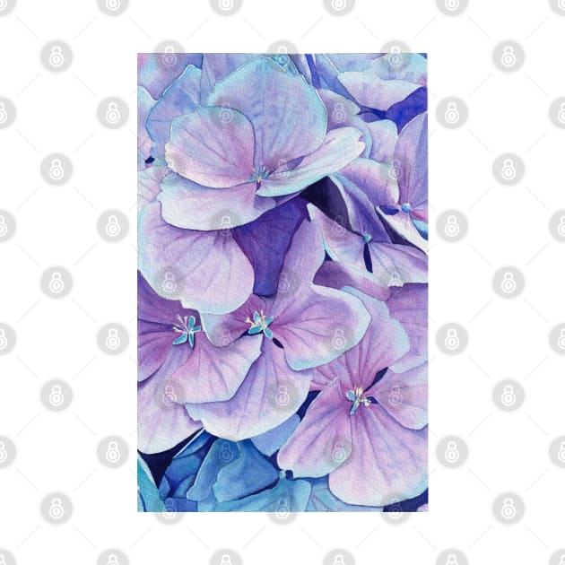 Blue hydrangea by InnaPatiutko