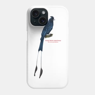 Greater Racket-tailed Drongo | Dicrurus paradiseus Phone Case