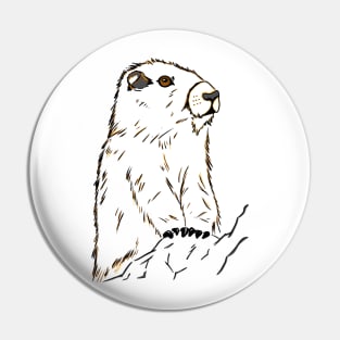 Groundhog everyday Pin