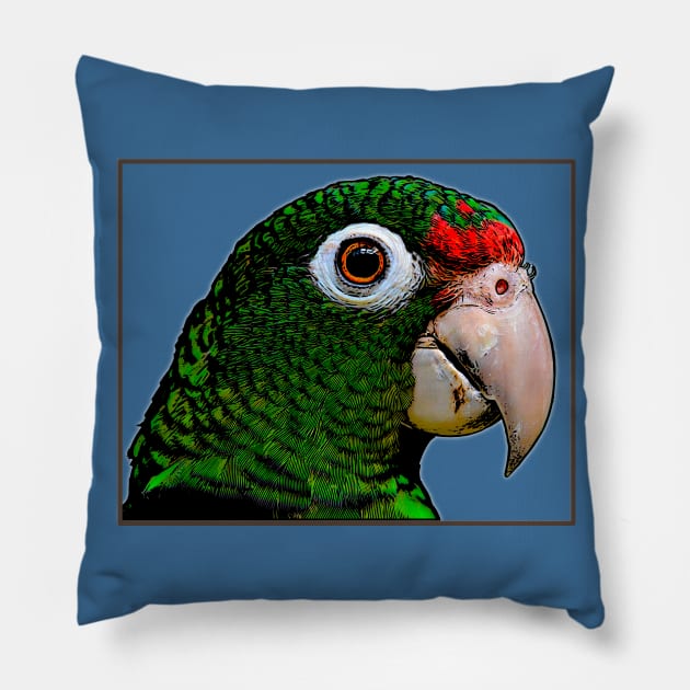 Parrot / Cotorra Pillow by SoLunAgua