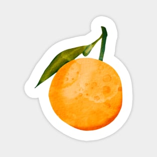 Orange Fruit Magnet