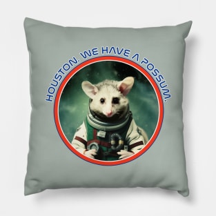 Houston. We Have a Possum. Pillow