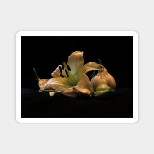 Garlic and Lilies - Baroque Inspired Dark Still Life Photo Magnet