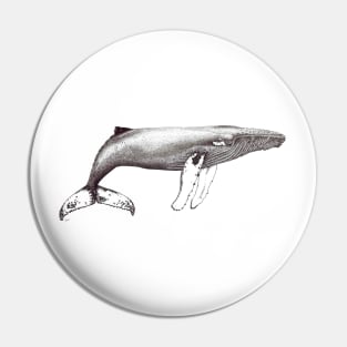 Humpback whale ink black and white Pin