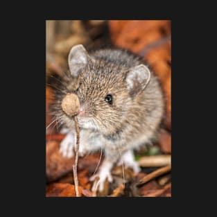 Wood Mouse on Woodland Floor Photo T-Shirt