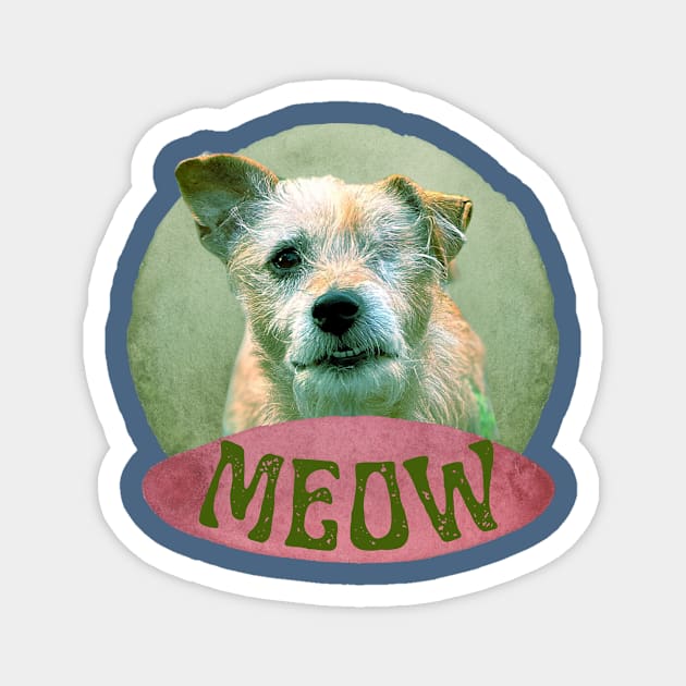 Meowing dog with one eye Magnet by happygreen