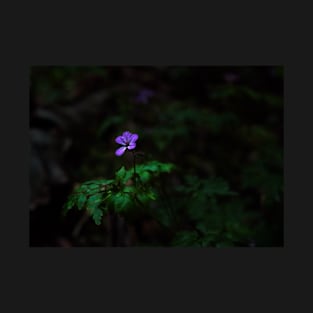 Glowing in the dark T-Shirt