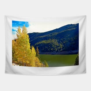 Green Lake on Guanella Pass Road 2 Tapestry