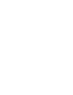 Fancy Pickle Magnet