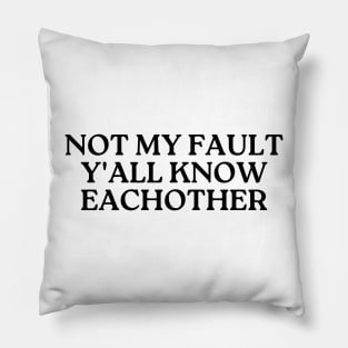 not my fault y'all know eachother Pillow