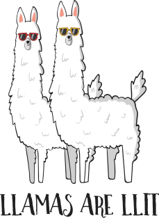 Llamas Are Llit, Funny Llama Magnet