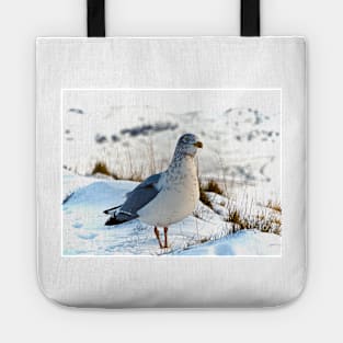 BY LAND AND SEA Tote