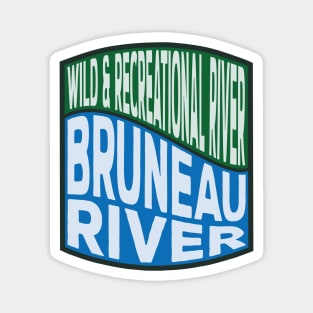 Bruneau River Wild and Recreational River wave Magnet