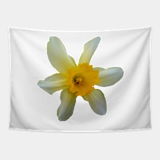 Beautiful Daffodil Flower Tapestry