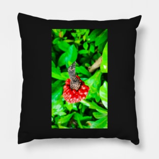 Red peppercorn with bird beak Pillow