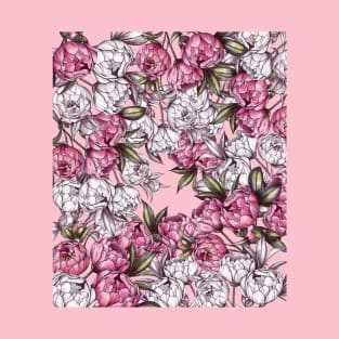 Peony pattern sketch. White and pink color T-Shirt