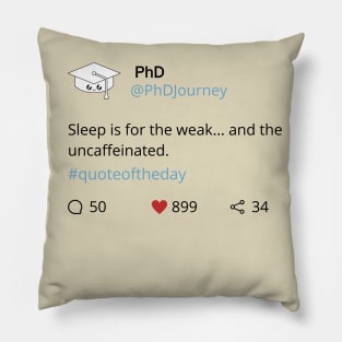 PhD funny post Pillow