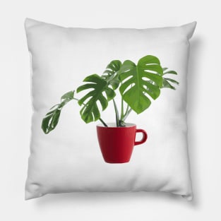 A Deliciosa cup of Monstera Pillow